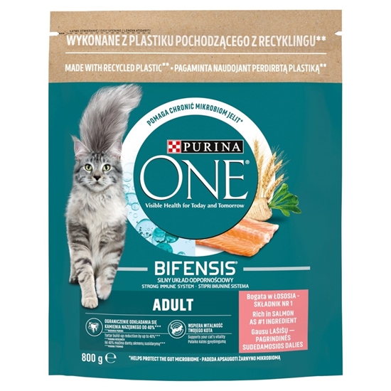 Изображение PURINA One Bifensis Adult Salmon - dry cat food - 800 g