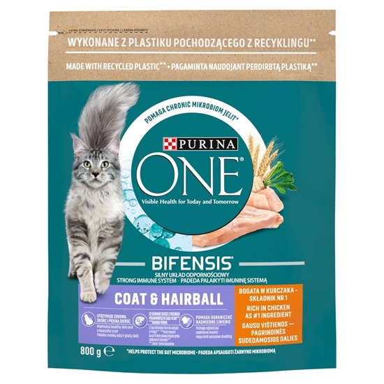 Picture of PURINA One Bifensis Coat & Hairball Chicken - dry cat food - 800 g
