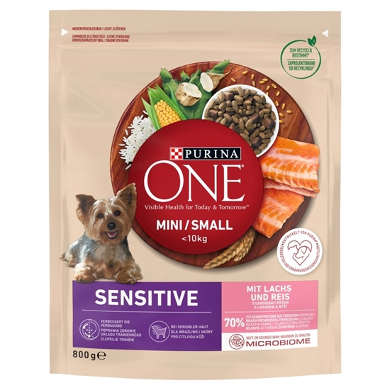 Picture of PURINA One Mini/Small Sensitive Salmon, rice - dry dog food - 800 g