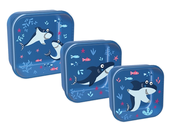 Picture of Pusdienu kastītes komplekts Itotal Shark, 3gab/iepak.