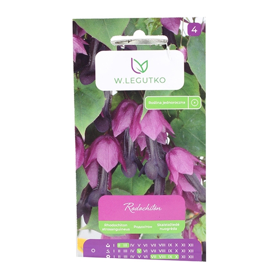Picture of Rodohitons asinssarkanais 6sēklas