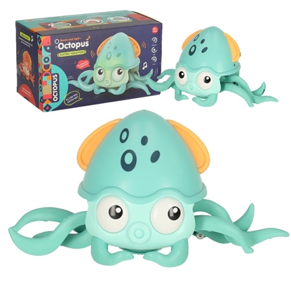 Picture of RoGer Interactive Octopus