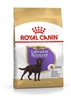 Изображение ROYAL CANIN Labrador Retriever Sterilised Adult - dry dog food - 12kg