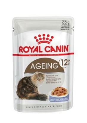 Picture of ROYAL CANIN FHN Ageing 12+ in jelly - wet food for senior cats - 12x85g