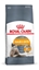 Picture of Royal Canin Hair & Skin Care cats dry food 4 kg Adult