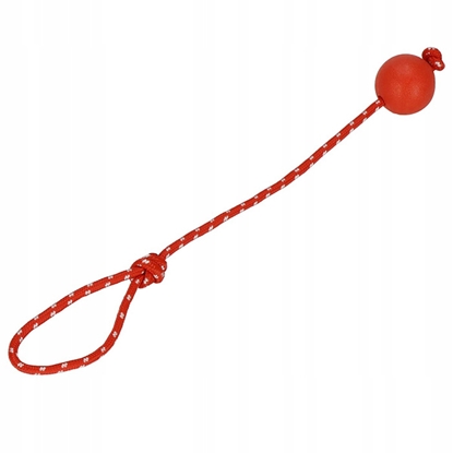 Attēls no Rotaļlieta suņiem Springos Aukla ar bumbu PA1055