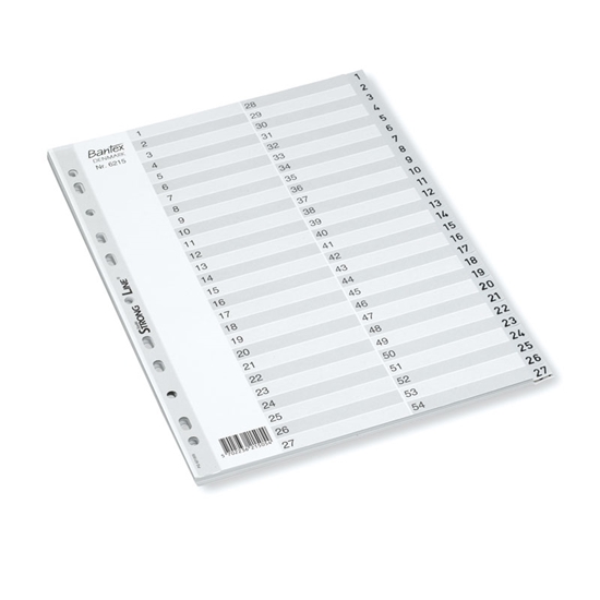 Picture of Sadalītājs dokumentiem Bantex Strong Line A4, 1-54