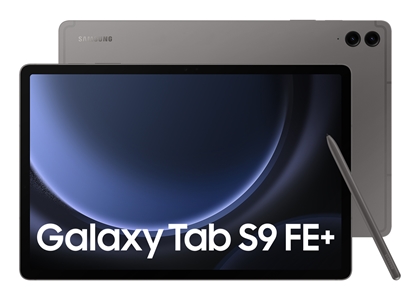 Picture of Samsung Galaxy TAB S9 FE+ WiFi grey
