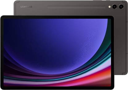 Picture of Samsung Galaxy Tab S9+ SM-X810N 256 GB 31.5 cm (12.4") Qualcomm Snapdragon 12 GB Wi-Fi 6 (802.11ax) Android 13 Graphite