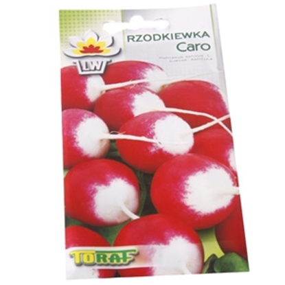 Picture of Sēklas Redīsi Caro 10g