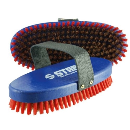 Picture of Oval Bronze