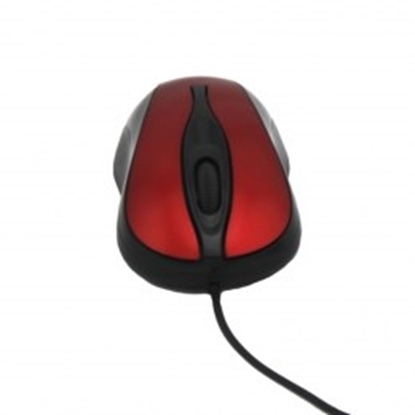 Picture of TITANUM TM103R mouse Ambidextrous USB Type-A Optical 1000 DPI