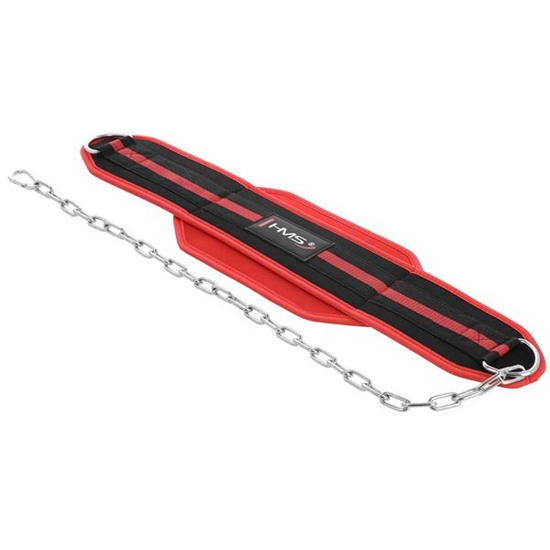 Picture of TRENIŅA JOSTA PSTX05  HMS