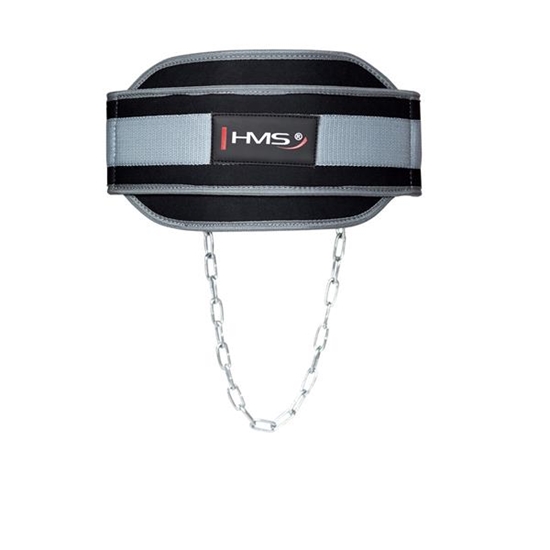 Picture of Treniņu josta PST04 HMS