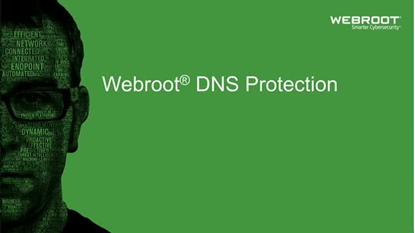 Attēls no Webroot | DNS Protection with GSM Console | 1 year(s) | License quantity 10-99 user(s)