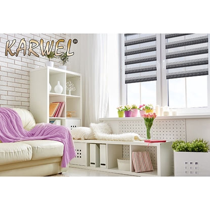 Picture of Žalūzija rullo  53X150 DN33