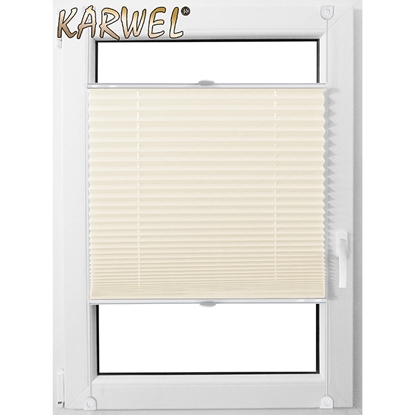 Picture of Žalūzija PLISA PREMIUM 110X150 PP01