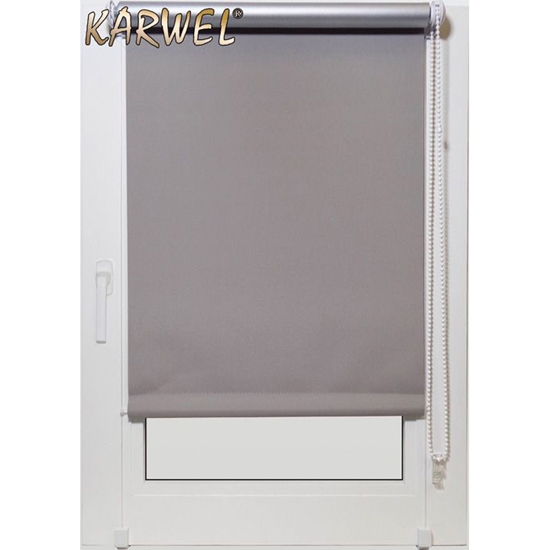 Picture of Žalūzija rullo  TERMO 72X220 BT03