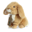 Picture of ECO NATION AURORA Eco Nation Plush Rabbit, 20 cm