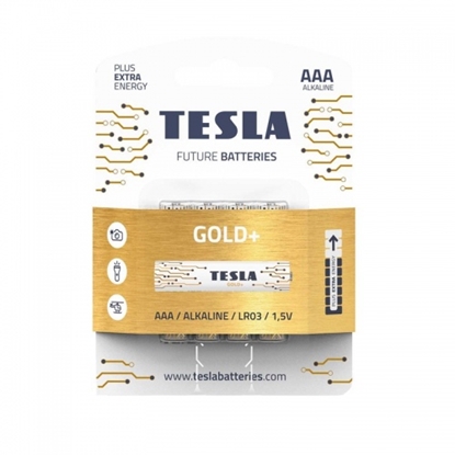 Picture of Batteries Tesla AAA Gold+ Alkaline LR03 1250 mAh (4 pcs) (12030420)
