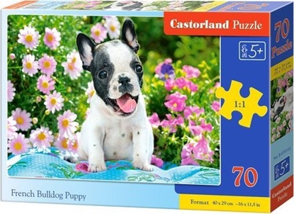 Attēls no Castorland Puzzle 70 French bulldog puppy CASTOR