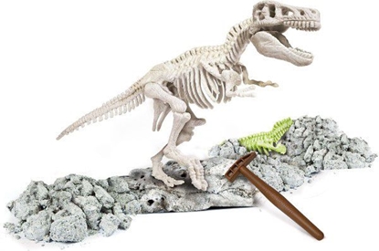 Picture of Clementoni T-Rex Fossils (60889)
