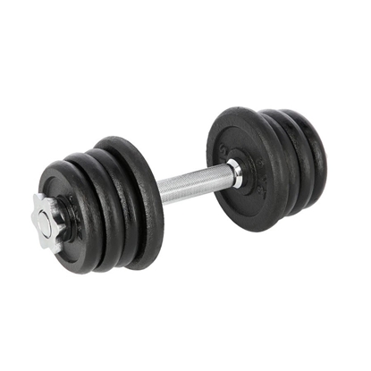 Picture of DUMBBELL WITH THREAD HMS SG04 (17-59-120) 15 KG