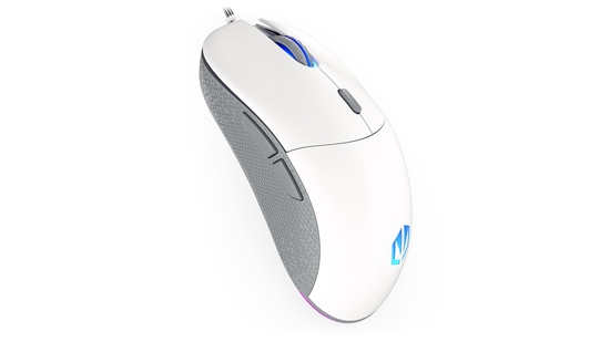 Picture of ENDORFY GEM Plus Onyx White mouse Right-hand USB Type-C Optical 19000 DPI