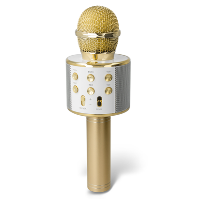 Picture of Forever BMS-300 Bluetooth Microphone with Speaker
