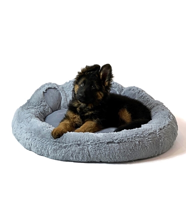 Изображение GO GIFT Dog and cat bed L - grey - 55x55 cm
