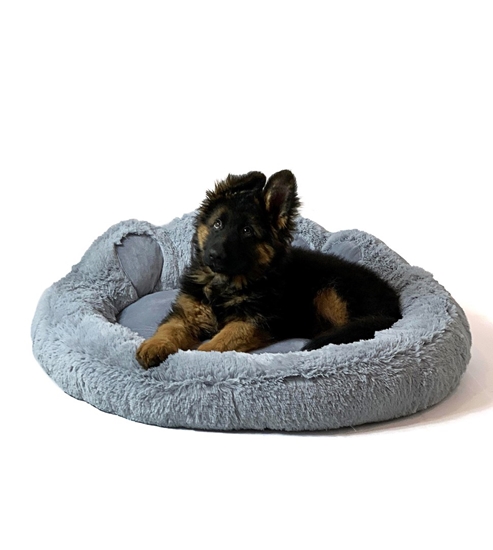 Изображение GO GIFT Dog and cat bed XL - grey - 75x75 cm