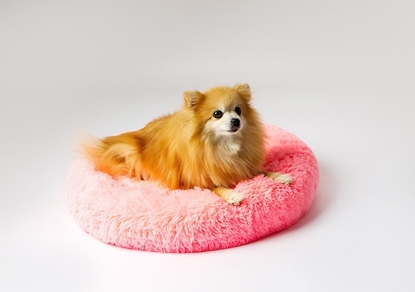 Picture of GO GIFT Shaggy pink L - pet bed - 66 x 66 x 10 cm