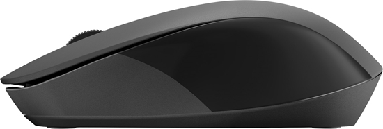 Picture of HP 150 Wireless Mouse