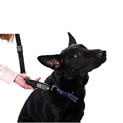 Picture of Izpārdošana - ULTRASONIC REMOTE DOGe Walk All-In-One Dog Trainer (ir veikalā)
