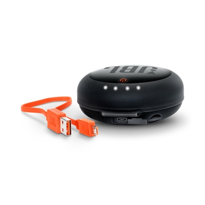 Picture of JBL Charging & protection case up to 16 hours additional battery life