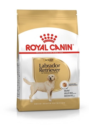 Picture of ROYAL CANIN Labrador Adult - dry dog food - 12 kg