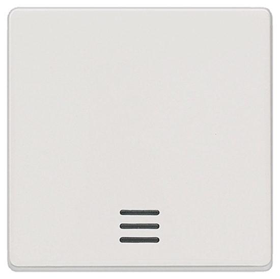 Изображение Taustiņš titānb.1pol.5TG6200 .ar ind.                     