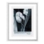 Picture of Fotorāmis 21x30cm plastikāta,  sudraba krāsa