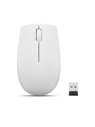 Picture of Lenovo 300 WIRELESS ?GREY mouse Ambidextrous RF Wireless Optical 1000 DPI