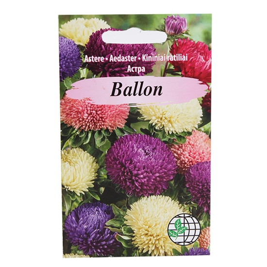 Picture of Sēklas Asteres Ballon 15gab.