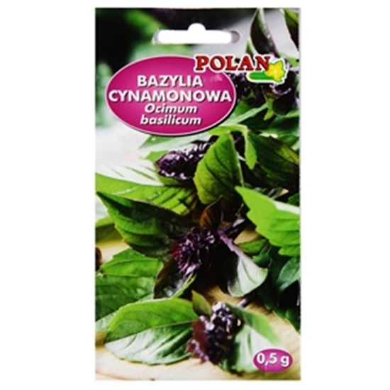 Picture of Sēklas Baziliks kanēļa 0.5g