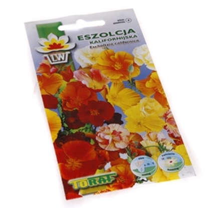 Picture of Sēklas Ešolcija 1g