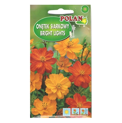 Attēls no Sēklas Kosmeja bright light 1g P