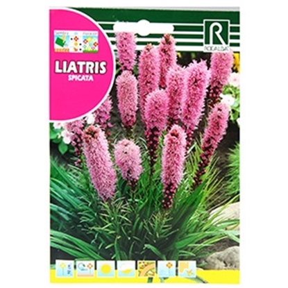 Attēls no Sēklas Liatres 1g