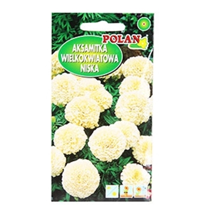 Picture of Sēklas Samtenes Albatros baltas 0.5g