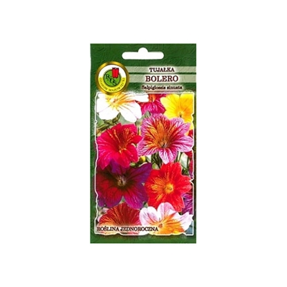 Picture of Sēklas Taurespuķe Bolero mix 1g P