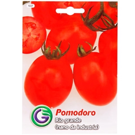 Picture of Sēklas Tomāti Rio Grande 2g GS