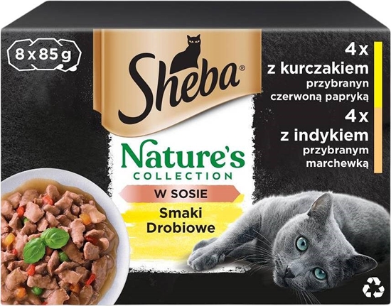 Picture of SHEBA Nature's Collection Poultry Flavors - wet cat food - 8x 85 g