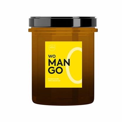 Picture of Svece arom. Aroma Modern Fruits 230g, Mango