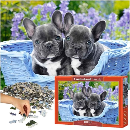 Picture of Castorland French Bulldogs Puzzle 1000 pcs.